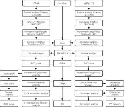 A Novel Immune-Related Prognostic Biomarker and Target Associated With Malignant Progression of Glioma